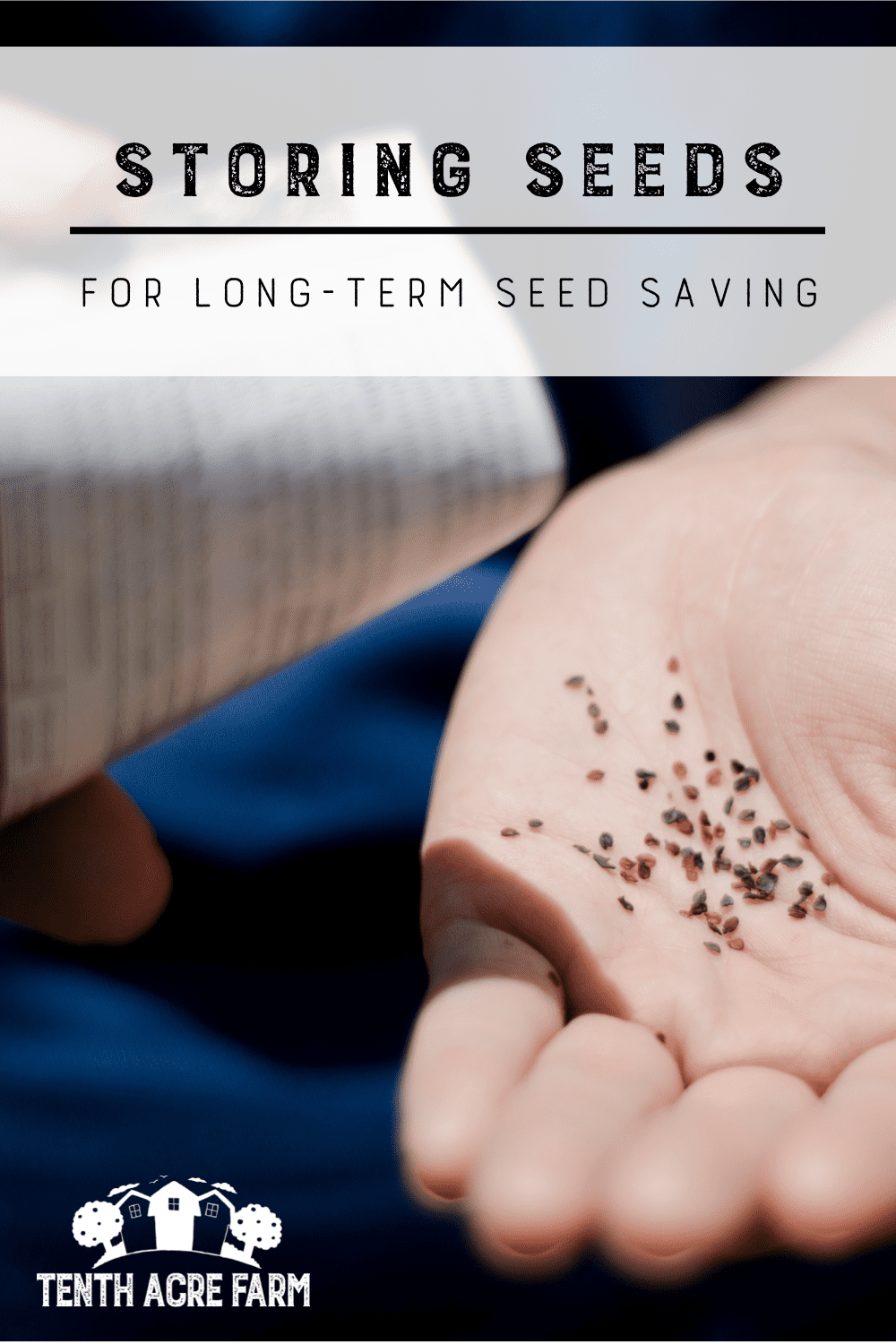 Storing Seeds for LongTerm Seed Saving Tenth Acre Farm