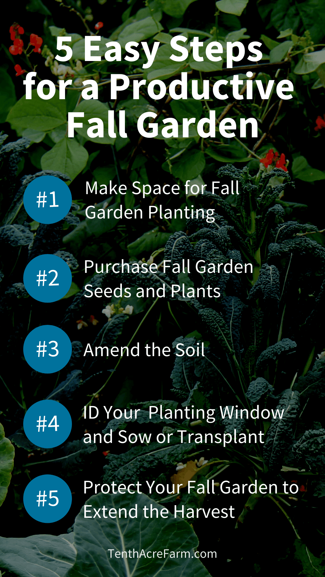 How to Have a Productive Fall Garden (in 5 Easy Steps) - Tenth Acre Farm