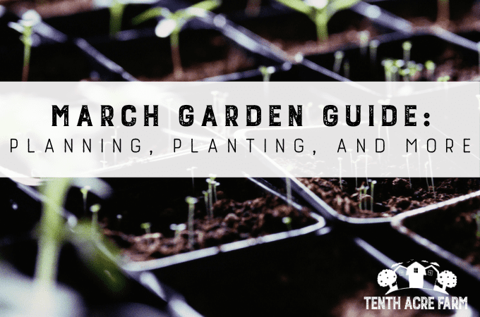 March Garden Guide: Planning, Planting, and More