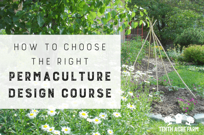 How to Choose the Right Permaculture Design Course: Looking for a permaculture design course? There are plenty to choose from—here's how to find the right permaculture course to meet your needs. #permaculture #permaculturedesign #suburbanpermaculture #permaculturegarden #gardening #gardentips