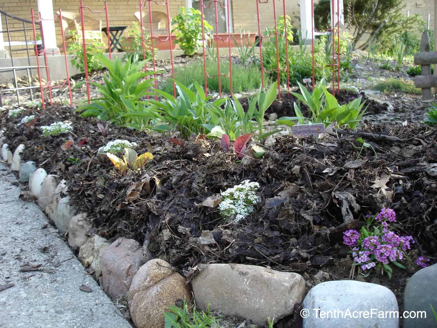 How to Improve Clay Soil in 6 Steps Tenth Acre Farm