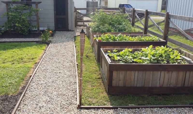 How to Start a Garden on a Budget