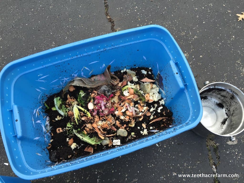 Make a Worm Bin for Composting Food Scraps Tenth Acre Farm