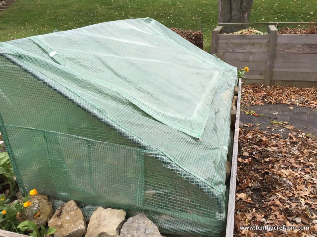 How to Protect Cold Weather Crops with a Cold Frame Tenth Acre Farm