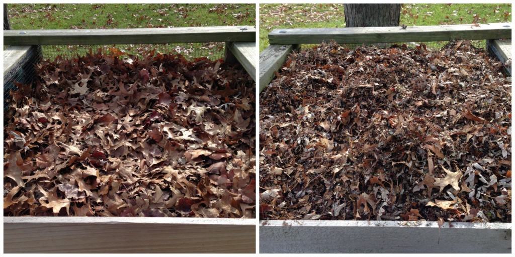 5 Steps for Preparing Your Winter Garden Tenth Acre Farm