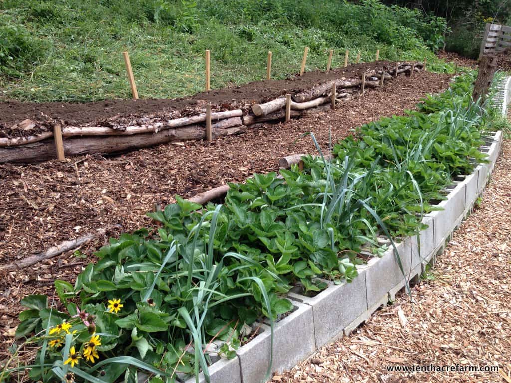 A Quick Way to Terrace a Hill [+ Free Download] - Tenth Acre Farm