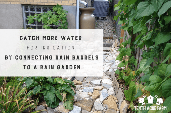 underground rain barrels