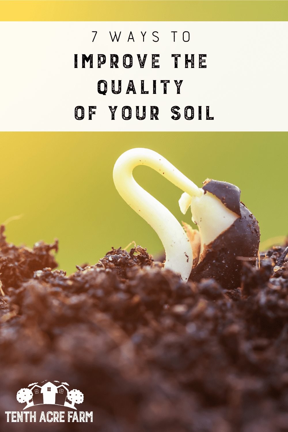 7 Ways to Improve the Quality of Your Soil Tenth Acre Farm