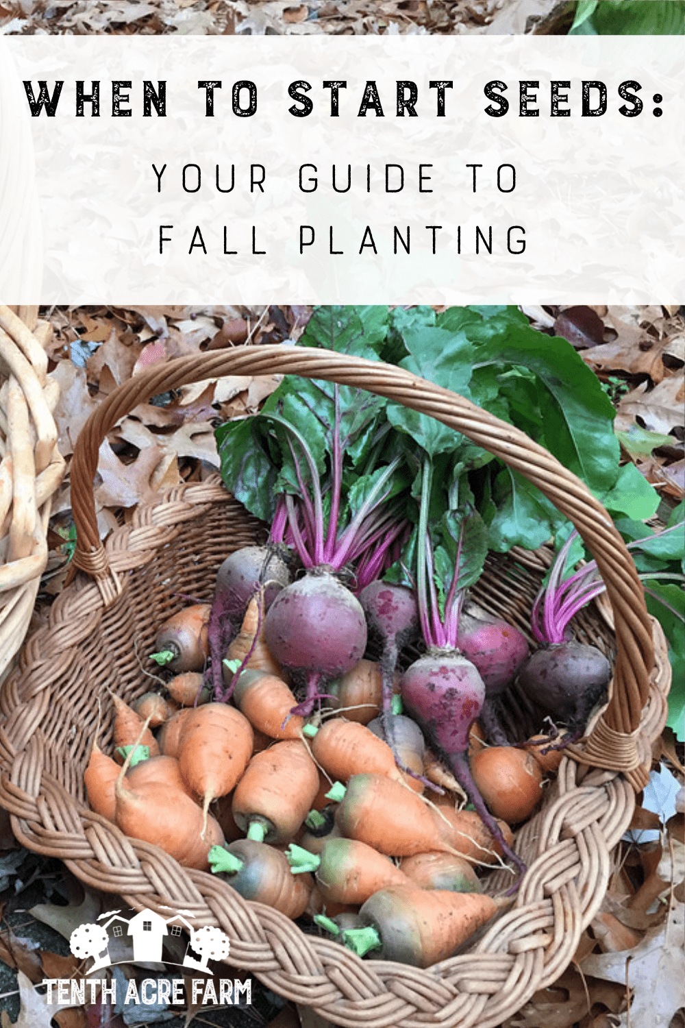 When to Start Seeds Your Guide to Fall Planting Tenth Acre Farm