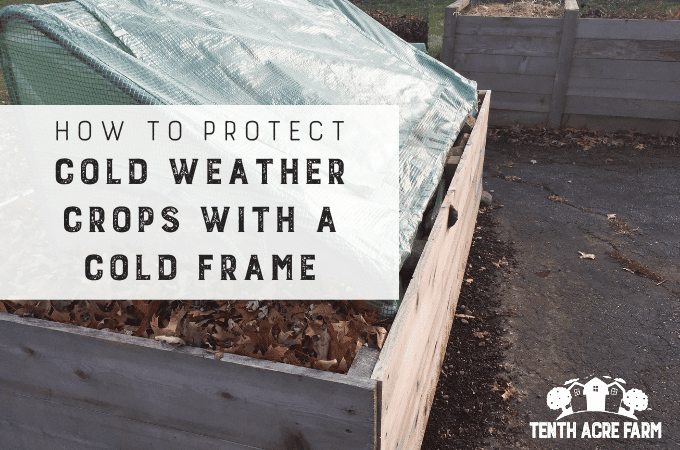 How to Protect Cold Weather Crops with a Cold Frame