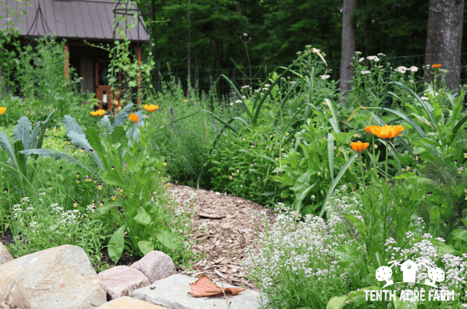 A path leads toward a garden shed surrounded by plants.