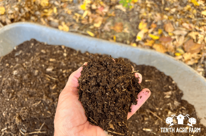 handful of compost above a wheelbarrow of compost