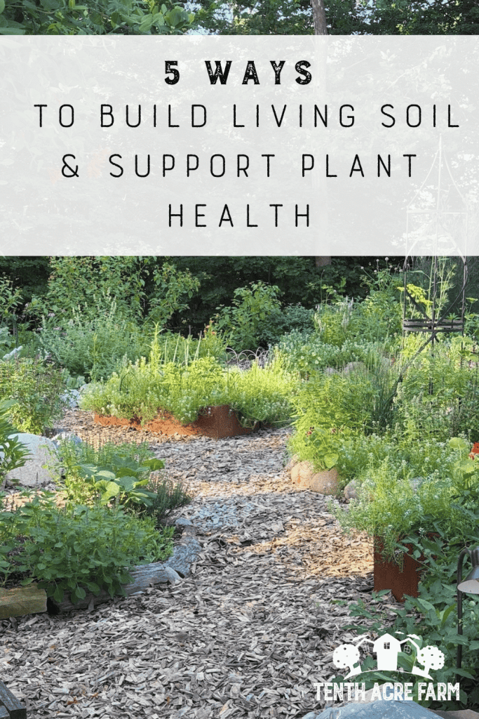 A wood chipped pathway into a garden of steel raised beds with a forest background