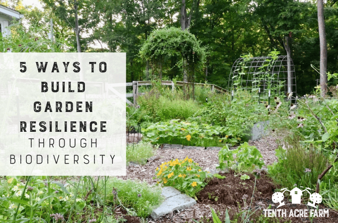 A garden view shows annual crops intermingled with perennials and flowers with a forest backdrop.